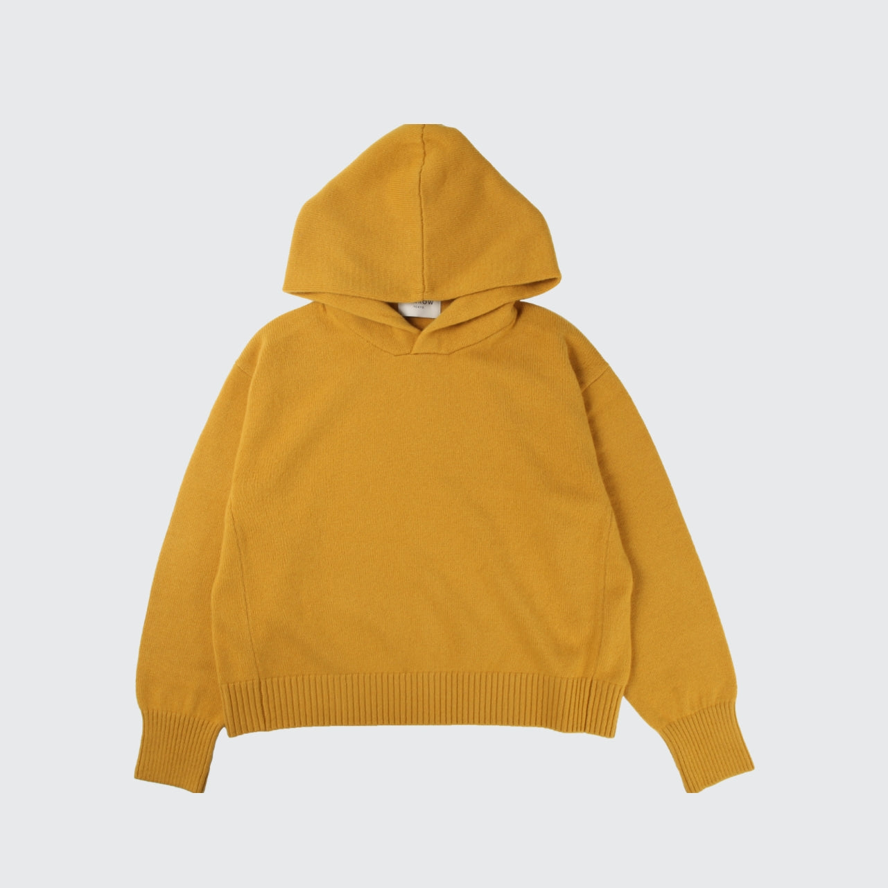 BABY CASHMERE 100 HOODIE