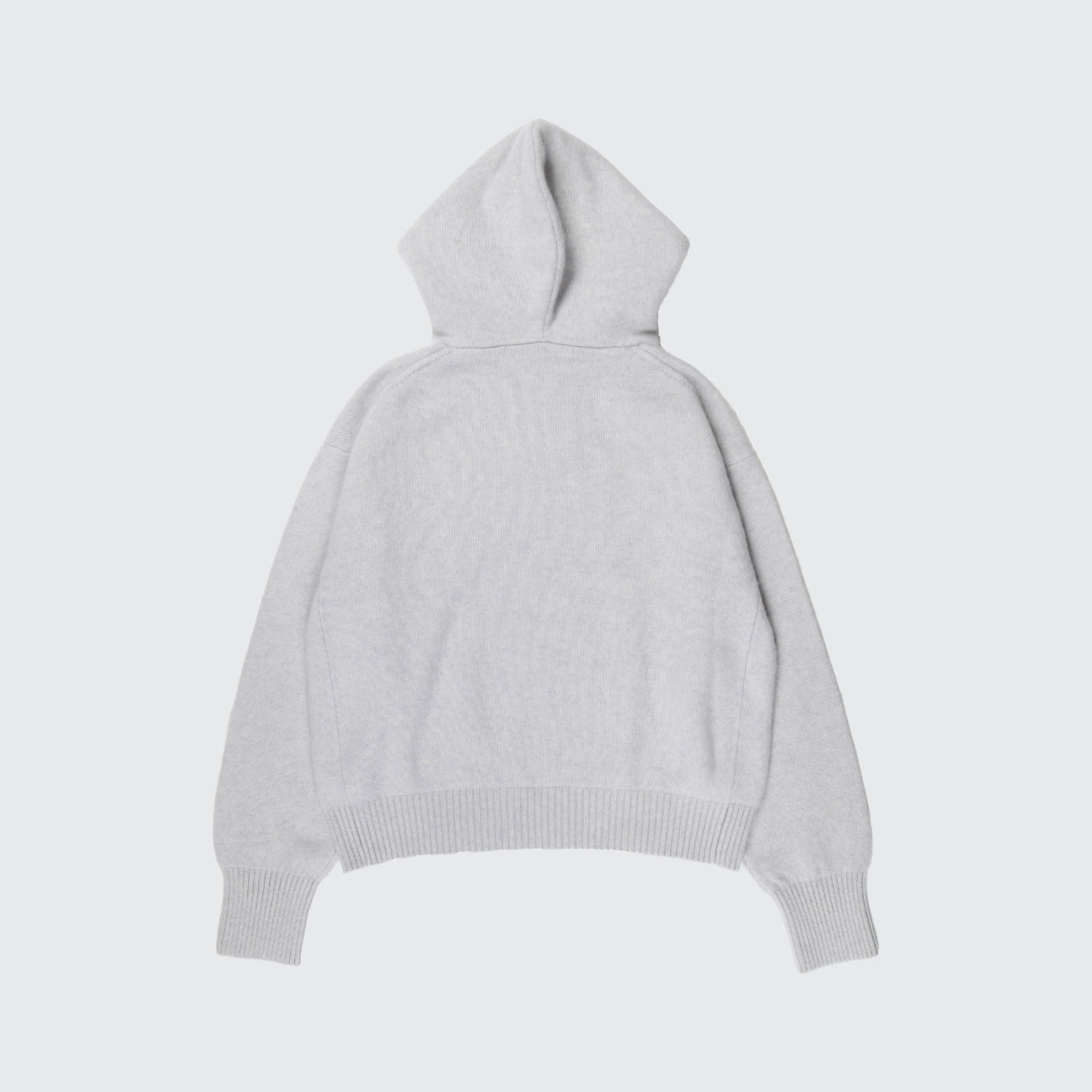 BABY CASHMERE 100 HOODIE