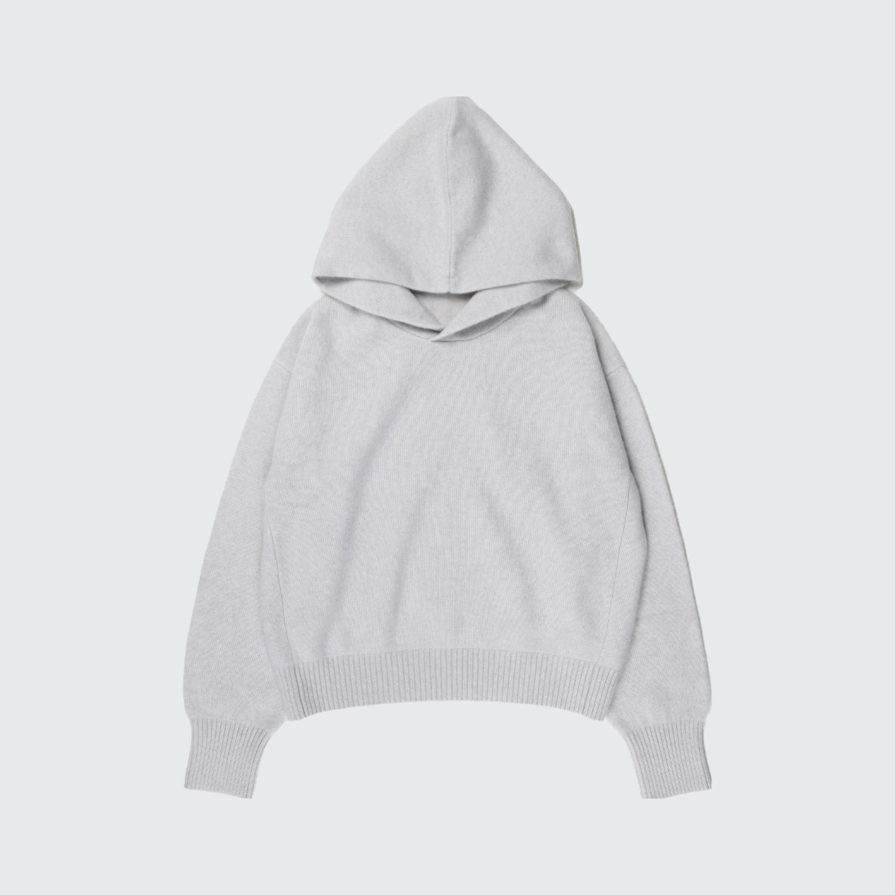 BABY CASHMERE 100 HOODIE